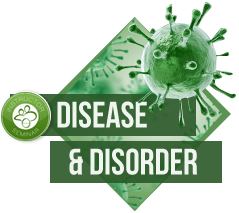 Theta Healing® Disease & Disorder Course disease teach - Theta Healing® Disease & Disorder Course