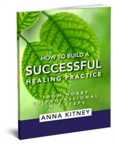 ebooks Build Successful Healing Practice 234x300 - ebooks-Build-Successful-Healing-Practice