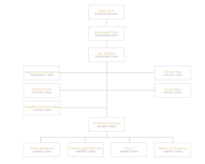 Course Prerequisites 300x240 - Course Prerequisites