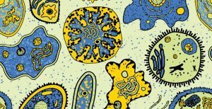 Parasites 300x154 - Parasites