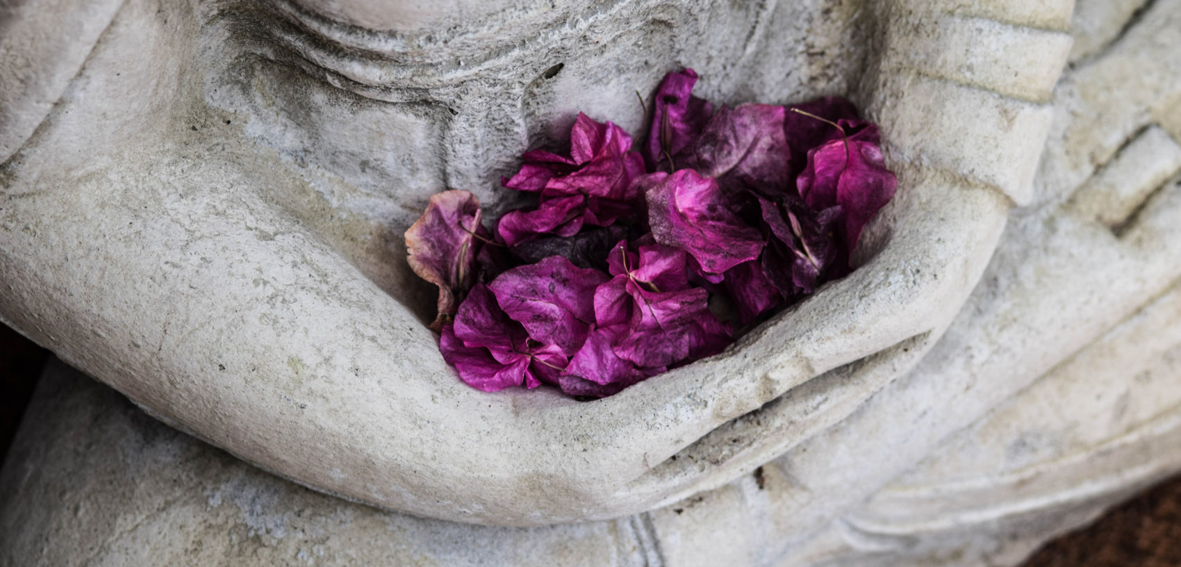 Free Theta Healing Clinic Buddha Free healing clinic - Free Theta Healing Clinic